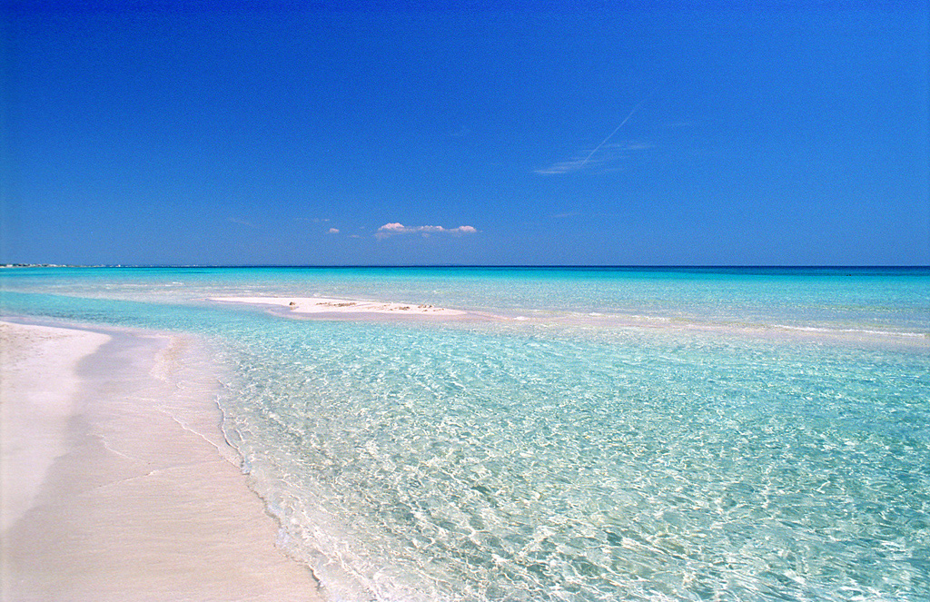 Punta Prosciutto nel Salento