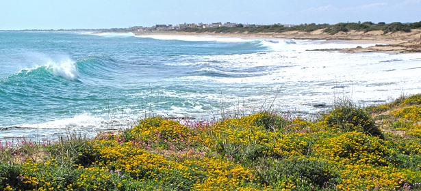 Riserva Naturale Orientata Regionale Palude del Conte e Duna Costiera