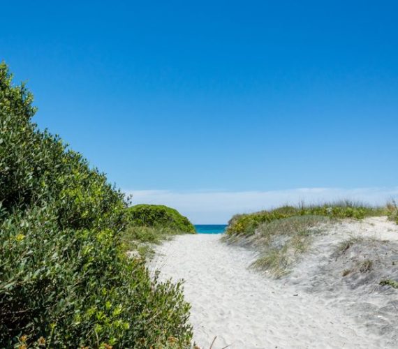 Il Parco Costiero Costa Otranto: Un Viaggio nella Natura del Salento