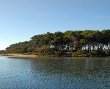 L’Isola dei Conigli: un tesoro naturale a Porto Cesareo