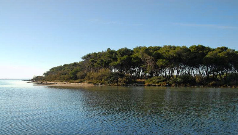 L’Isola dei Conigli: un tesoro naturale a Porto Cesareo