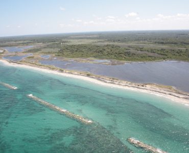 Itinerario naturalistico all’Oasi delle Cesine