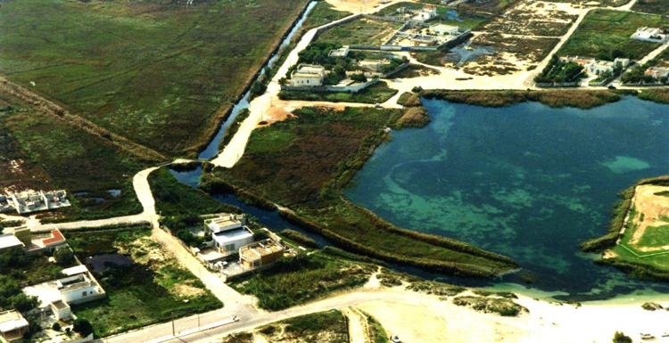 Il Parco di Rauccio: luogo di gran fascino vicino Lecce