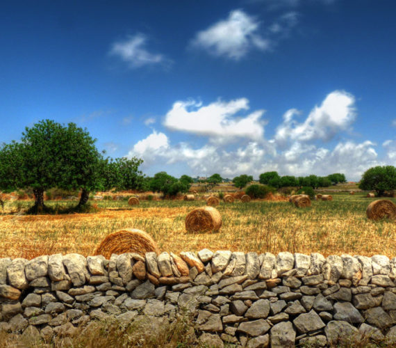 Il Salento da Patrimonio dell’Unesco