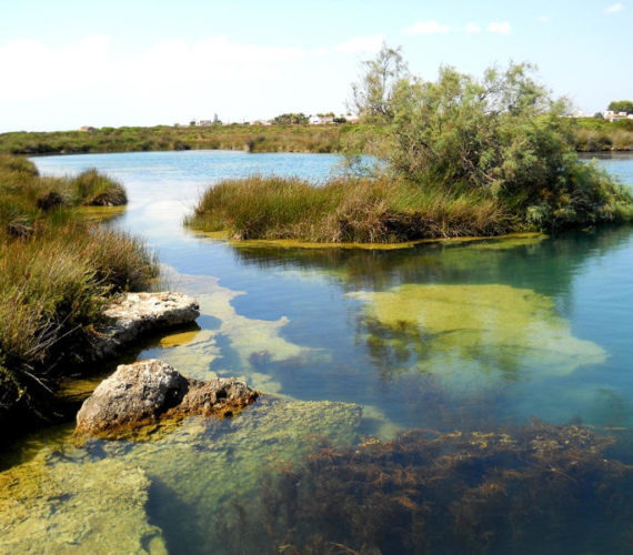 Porto Selvaggio e Palude del Capitano, un salto nella natura incontaminata