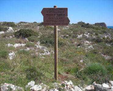 Un sentiero intriso di storia: il Sentiero delle Cipolliane