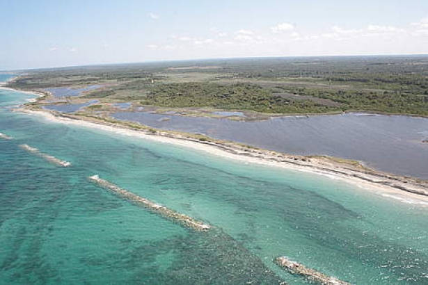 Un’oasi WWF nel Salento: Le Cesine