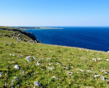 Primavera a contatto con la natura: voglia di campeggio e scampagnate nel Salento