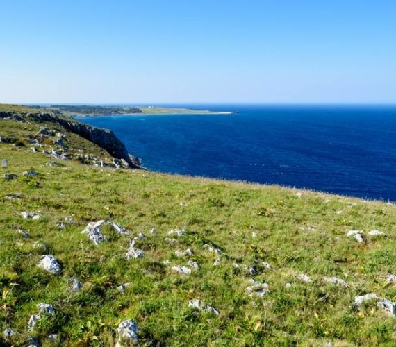 Primavera a contatto con la natura: voglia di campeggio e scampagnate nel Salento